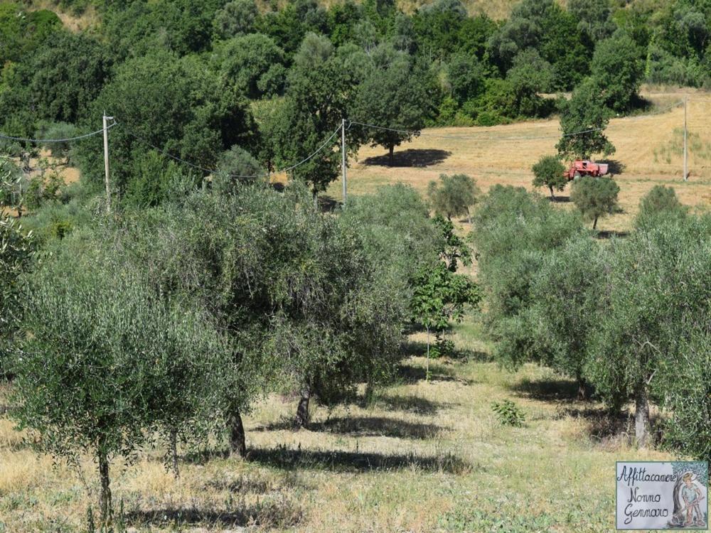 Nonnogennaro Villa Matonti Exterior foto